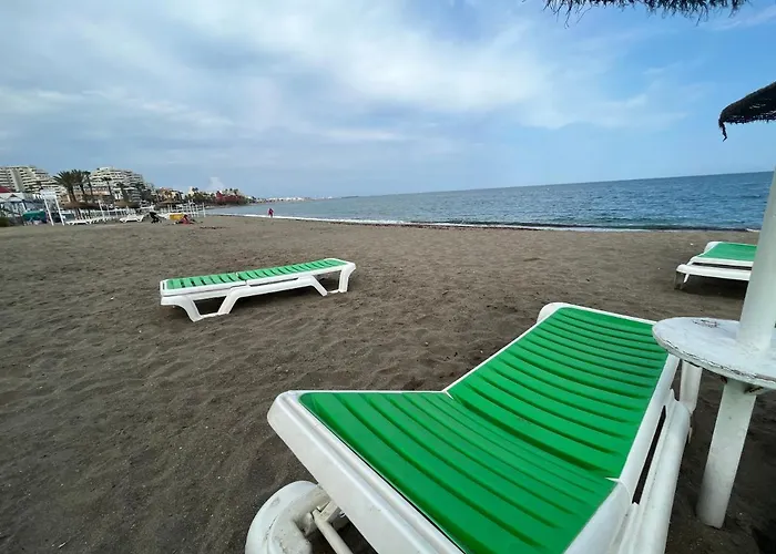 Delfin Verde